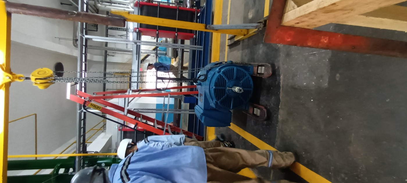 Equipo SELIR Ingeniería en campo